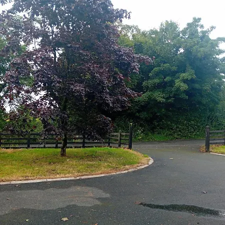Drumeenagh *